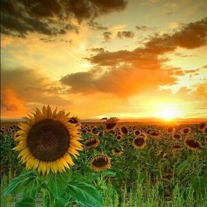 Meet your Posher, Mariah